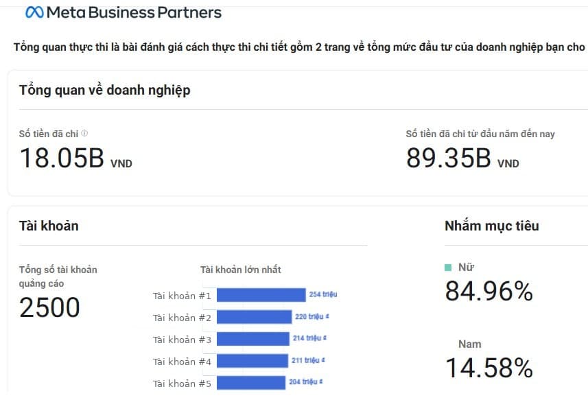 OneZ Digital — Meta Business Partners dashboard chính thức